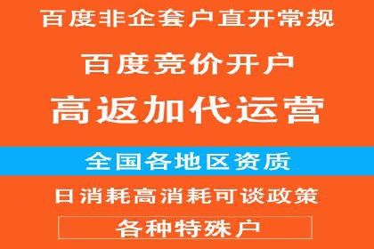 网络推广与竞价广告：双管齐下的策略案例
